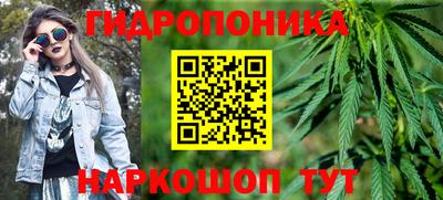 мяу мяу мука Малгобек