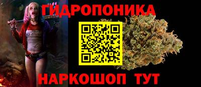 мяу мяу мука Малгобек